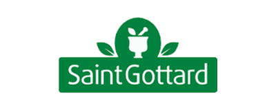 Saint Gottard